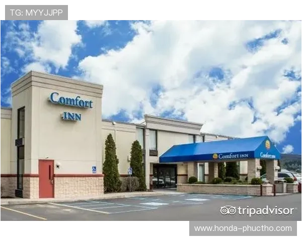 关于PA真人app官网的常见问题解答，帮助新手用户快速上手体验卓越服务