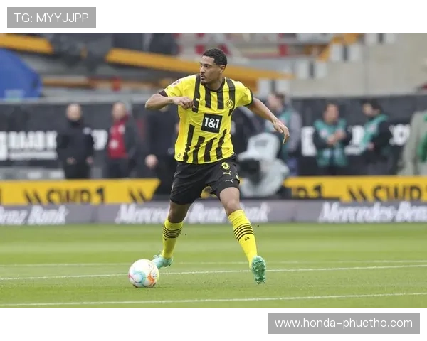 凯发体育平台最新官方入口全面解析助你轻松畅享体育赛事体验