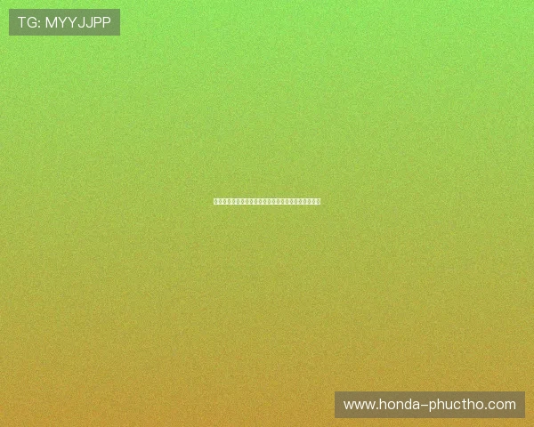 突尼斯对阵瑞典比赛队长是谁详细介绍及比赛亮点分析